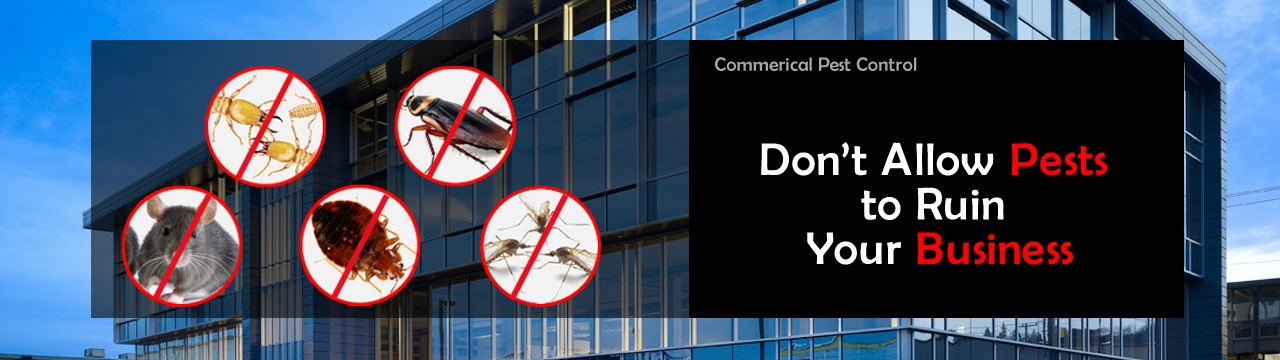 Commercial pest control