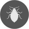 Pest Control Services for Bed bugs