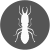 Pest Control Services for Anti Termites in Hyderabad