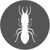 Pest Control Services for Anti Termites in Bangalore