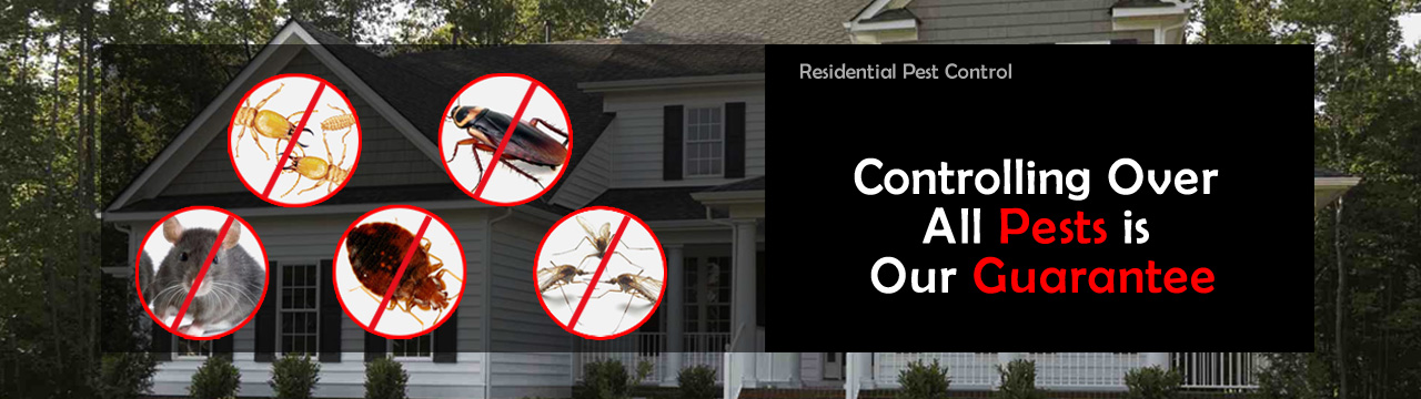 Residential pest Control