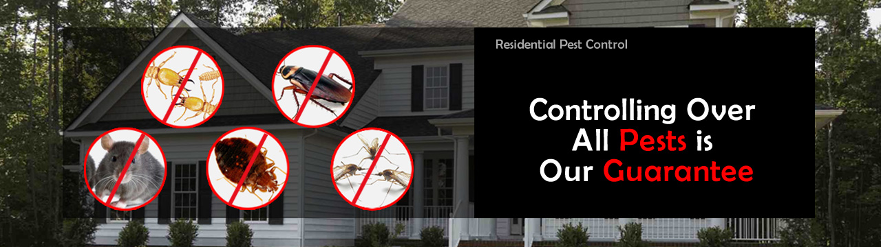 Residential pest Control